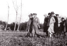 Ya orman çiftliği, aslına uygun Atatürk Orman Çiftliği olsaydı?